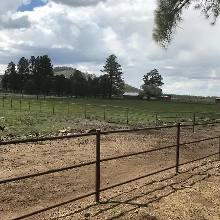 Grand Canyon Cottage At Historic Wrigley Ranch With Horseback Riding & Shooting Parks Exterior photo