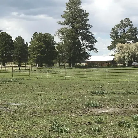 Grand Canyon Cottage At Historic Wrigley Ranch With Horseback Riding & Shooting Parks Exterior photo