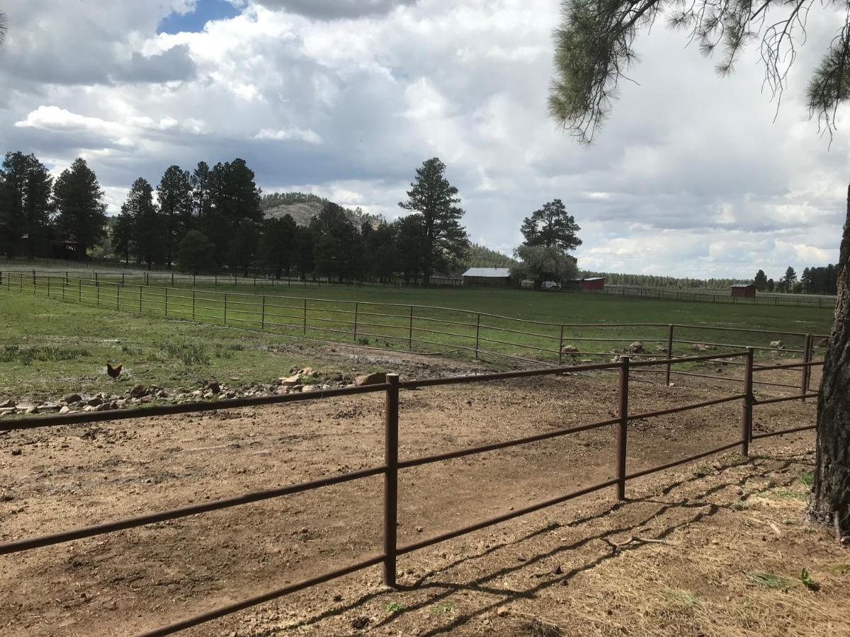 Holiday home Grand Canyon At Historic Wrigley Ranch With Horseback Riding & Shooting Parks