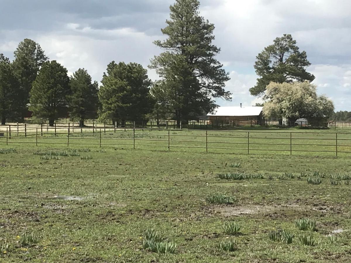 Grand Canyon At Historic Wrigley Ranch With Horseback Riding & Shooting *