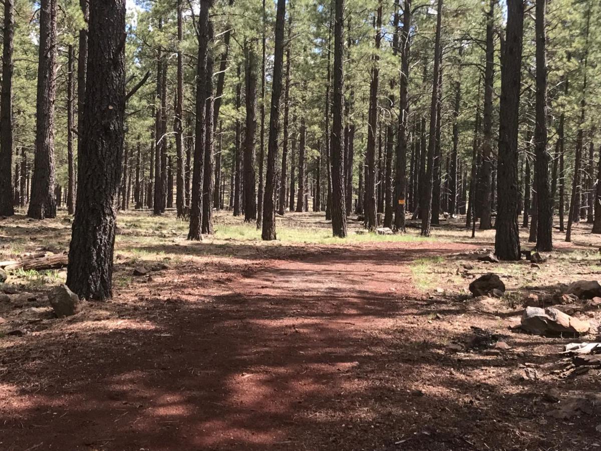 Grand Canyon At Historic Wrigley Ranch With Horseback Riding & Shooting Holiday home Parks