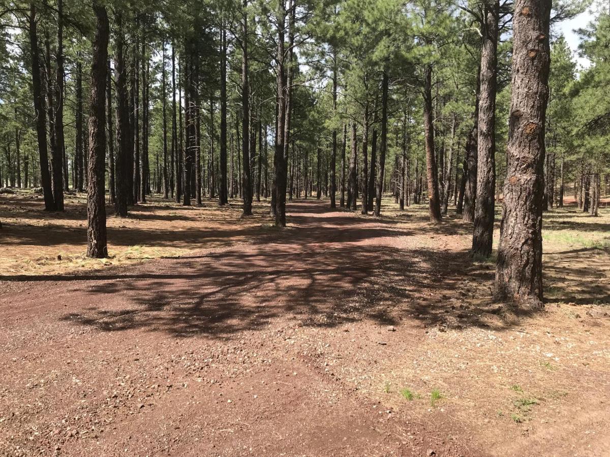 Grand Canyon At Historic Wrigley Ranch With Horseback Riding & Shooting Holiday home *